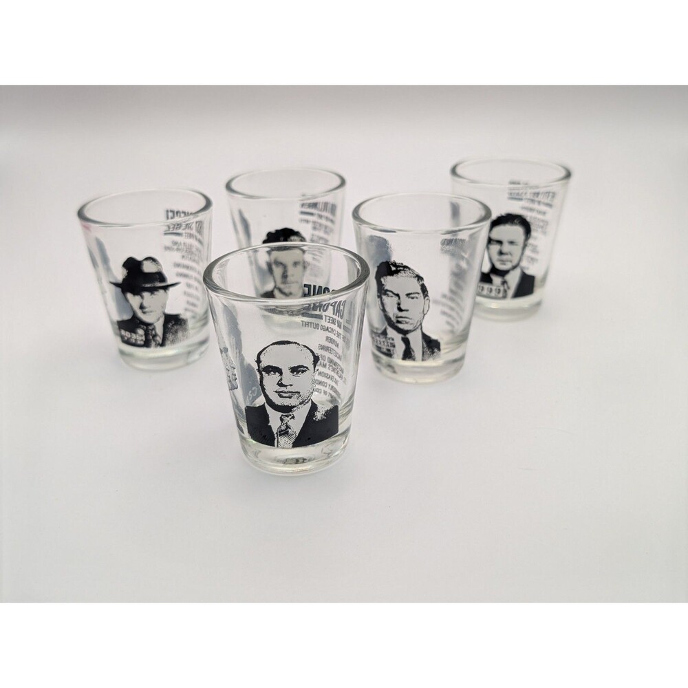 Mug Shots Shot Glasses Set of 5 Famous Gangsters Mobsters 2oz Novelty Barware